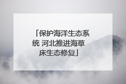 保护海洋生态系统 河北推进海草床生态修复