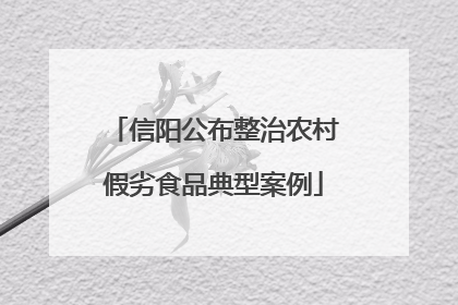 信阳公布整治农村假劣食品典型案例