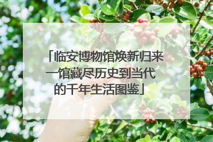 临安博物馆焕新归来 一馆藏尽历史到当代的千年生活图鉴