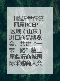 临沂举行第四届RCEP区域（山东）进口商品博览会、共建“一带一路”第三届临沂商城国际采购商大会新闻发布会