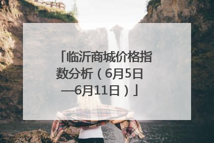 临沂商城价格指数分析（6月5日—6月11日）