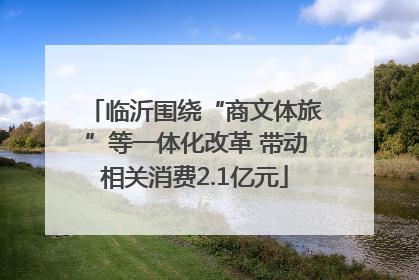 临沂围绕“商文体旅”等一体化改革 带动相关消费2.1亿元