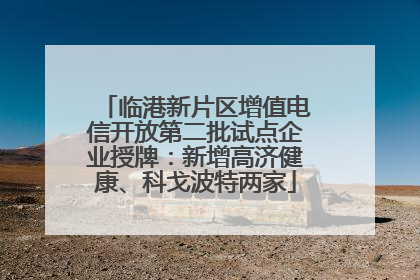 临港新片区增值电信开放第二批试点企业授牌：新增高济健康、科戈波特两家