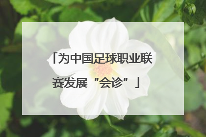 为中国足球职业联赛发展“会诊”