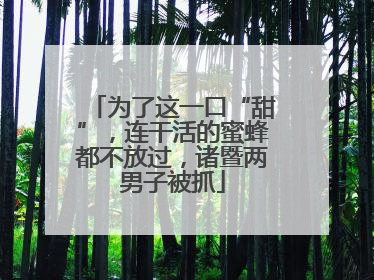 为了这一口“甜”，连干活的蜜蜂都不放过，诸暨两男子被抓