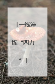 一线淬炼“四力”