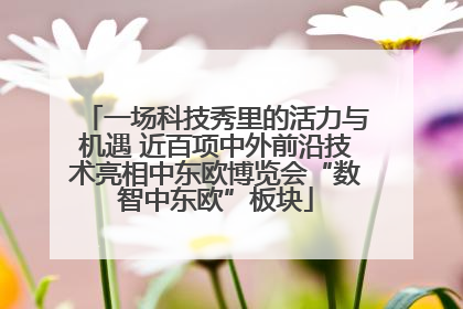 一场科技秀里的活力与机遇 近百项中外前沿技术亮相中东欧博览会“数智中东欧”板块