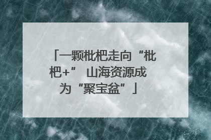 一颗枇杷走向“枇杷+” 山海资源成为“聚宝盆”