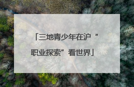 三地青少年在沪“职业探索”看世界