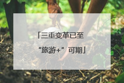 三重变革已至 “旅游+”可期