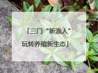 三门“新渔人”玩转养殖新生态