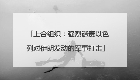 上合组织：强烈谴责以色列对伊朗发动的军事打击