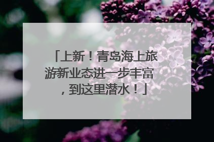 上新！青岛海上旅游新业态进一步丰富，到这里潜水！