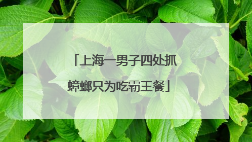 上海一男子四处抓蟑螂只为吃霸王餐
