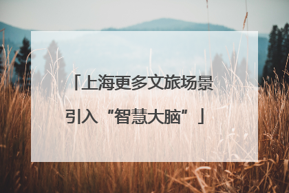 上海更多文旅场景引入“智慧大脑”