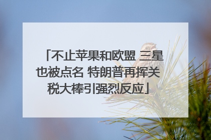 不止苹果和欧盟 三星也被点名 特朗普再挥关税大棒引强烈反应