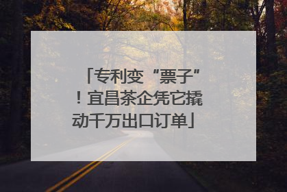 专利变“票子”！宜昌茶企凭它撬动千万出口订单
