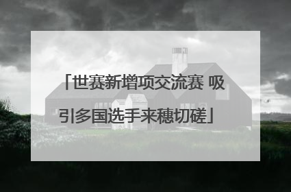 世赛新增项交流赛 吸引多国选手来穗切磋