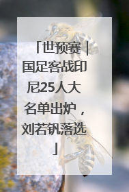 世预赛｜国足客战印尼25人大名单出炉，刘若钒落选