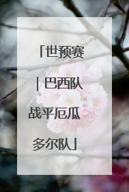 世预赛｜巴西队战平厄瓜多尔队