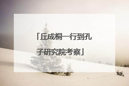 丘成桐一行到孔子研究院考察