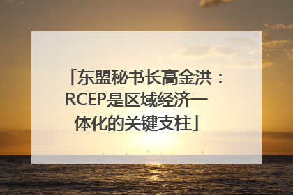 东盟秘书长高金洪：RCEP是区域经济一体化的关键支柱