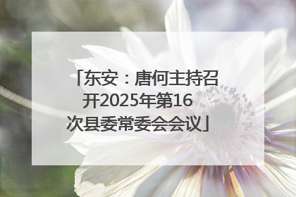 东安：唐何主持召开2025年第16次县委常委会会议
