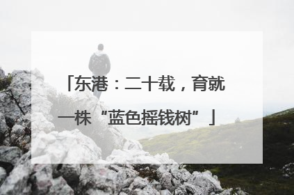 东港：二十载，育就一株“蓝色摇钱树”