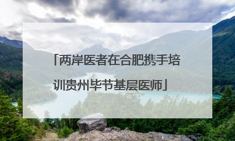 两岸医者在合肥携手培训贵州毕节基层医师