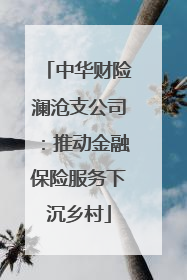 中华财险澜沧支公司：推动金融保险服务下沉乡村