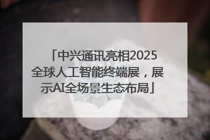 中兴通讯亮相2025全球人工智能终端展，展示AI全场景生态布局