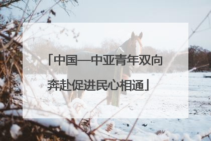 中国—中亚青年双向奔赴促进民心相通