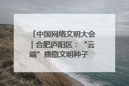 中国网络文明大会｜合肥庐阳区：“云端”播撒文明种子 共建清朗网络空间