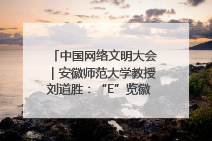 中国网络文明大会｜安徽师范大学教授刘道胜：“E”览徽风，构筑中华民族共有精神家园