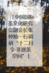 中国国际茶文化研究会副会长张仲灿一行调研“十二月令·非遗茶空间”
