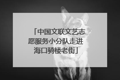中国文联文艺志愿服务小分队走进海口骑楼老街