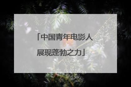 中国青年电影人展现蓬勃之力