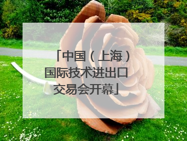 中国（上海）国际技术进出口交易会开幕