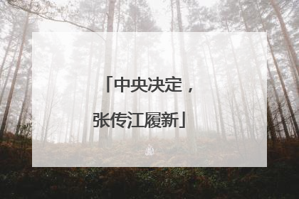 中央决定，张传江履新