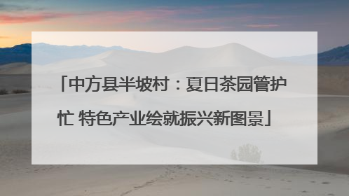 中方县半坡村：夏日茶园管护忙 特色产业绘就振兴新图景