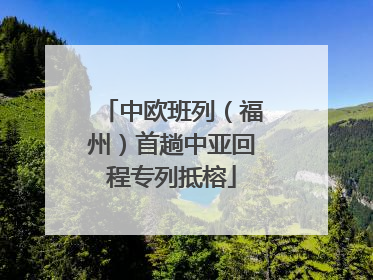 中欧班列（福州）首趟中亚回程专列抵榕
