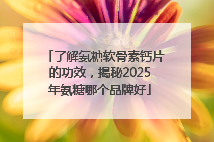 了解氨糖软骨素钙片的功效，揭秘2025年氨糖哪个品牌好