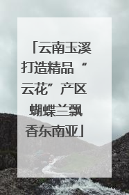 云南玉溪打造精品“云花”产区 蝴蝶兰飘香东南亚