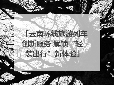 云南环线旅游列车创新服务 解锁“轻装出行”新体验