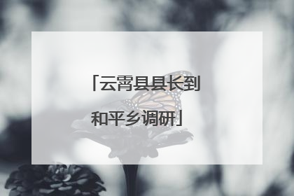 云霄县县长到和平乡调研