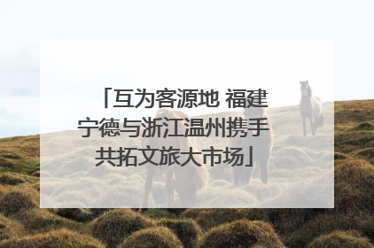 互为客源地 福建宁德与浙江温州携手共拓文旅大市场