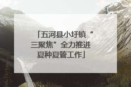 五河县小圩镇“三聚焦”全力推进夏种夏管工作