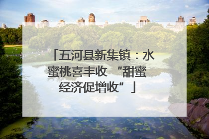 五河县新集镇：水蜜桃喜丰收 “甜蜜经济促增收”