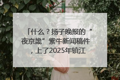 什么？扬子晚报的“夜京畿”紫牛新闻稿件，上了2025年镇江中考模拟卷！