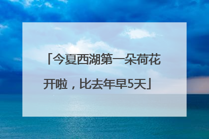 今夏西湖第一朵荷花开啦，比去年早5天